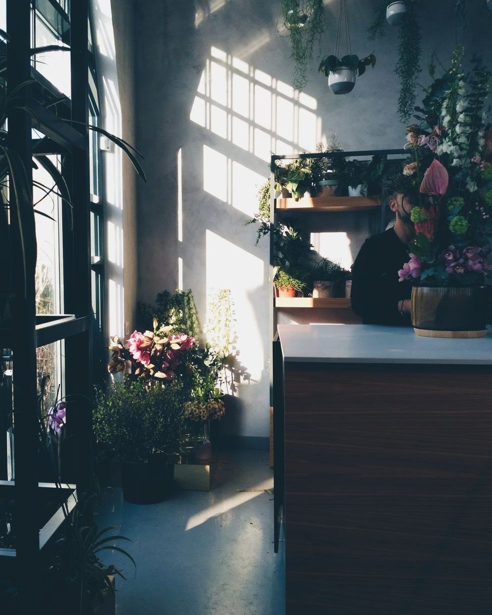 A warm, sunlit flower shop